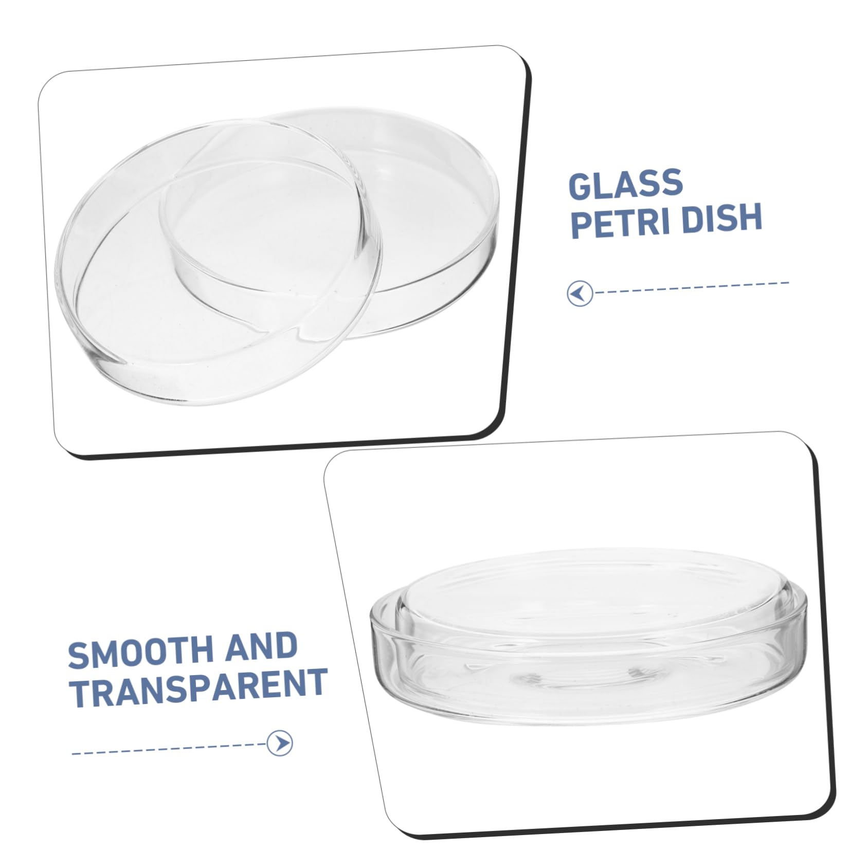 SOLUSTRE 15piezas Placas De De Transparentes Para De Dishes Redondos Resistentes Roturas Herramienta Para Experimentos Científicos y Docencia
