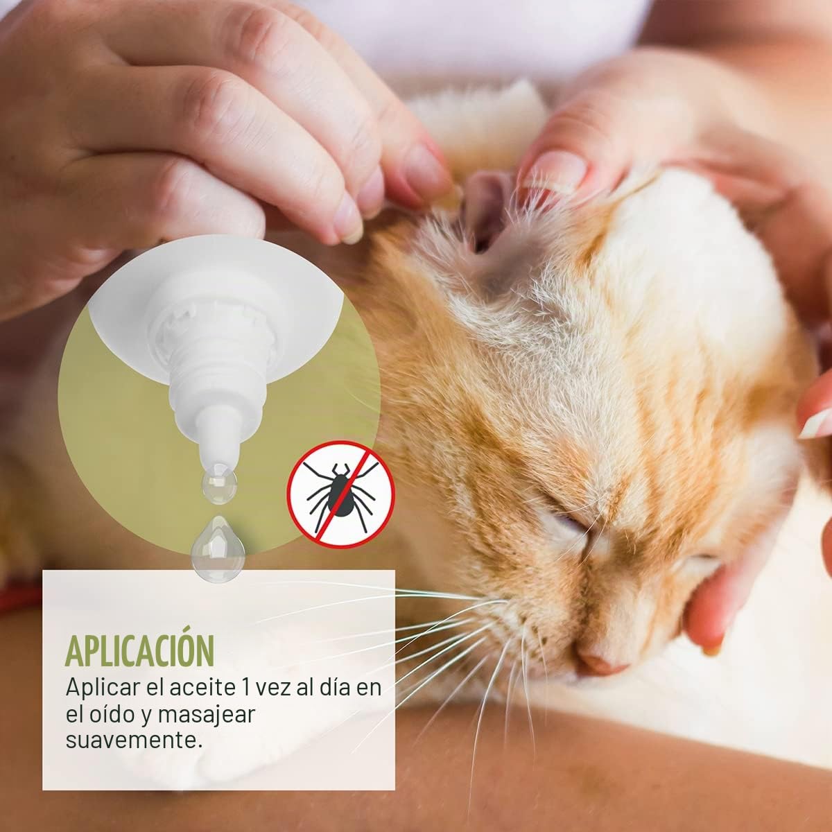 ReaVET Aceite de ácaros del oído Plus 25 ml para gatos de inmediato – contra los ácaros del oído con manzanilla para gatos, cuidado suave en caso de picazón en el oído, gotas para los oídos, ácaros,
