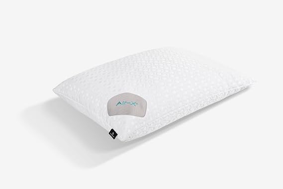 Bedgear Dri-Tec Performance Pillow Protector, Moisture-Wicking Cooling Pillow Cover with Airflow Technology | Breathable, Protective Pillowcase with Zipper | Machine Washable Pillow Protector, Queen