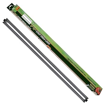 ヒジン fulahoop luminous セット ヒジン fulahoop luminous セット Amazon.com: FUNLIO 2 in 1