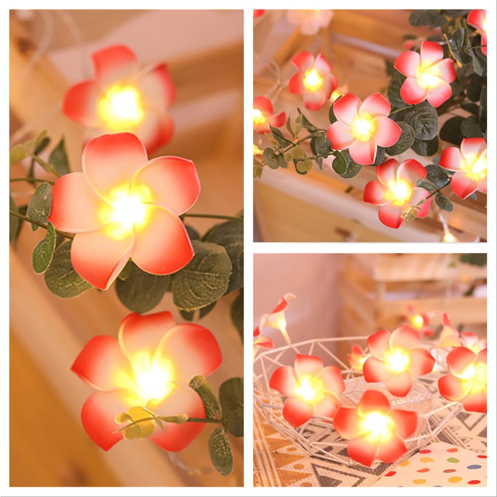 Fantasee Luci A LED A Forma Di Fiore Plumeria – 3 Metri, 20 LED, Alimentazione A Batteria, Per Matrimoni E Feste Hawaiane
