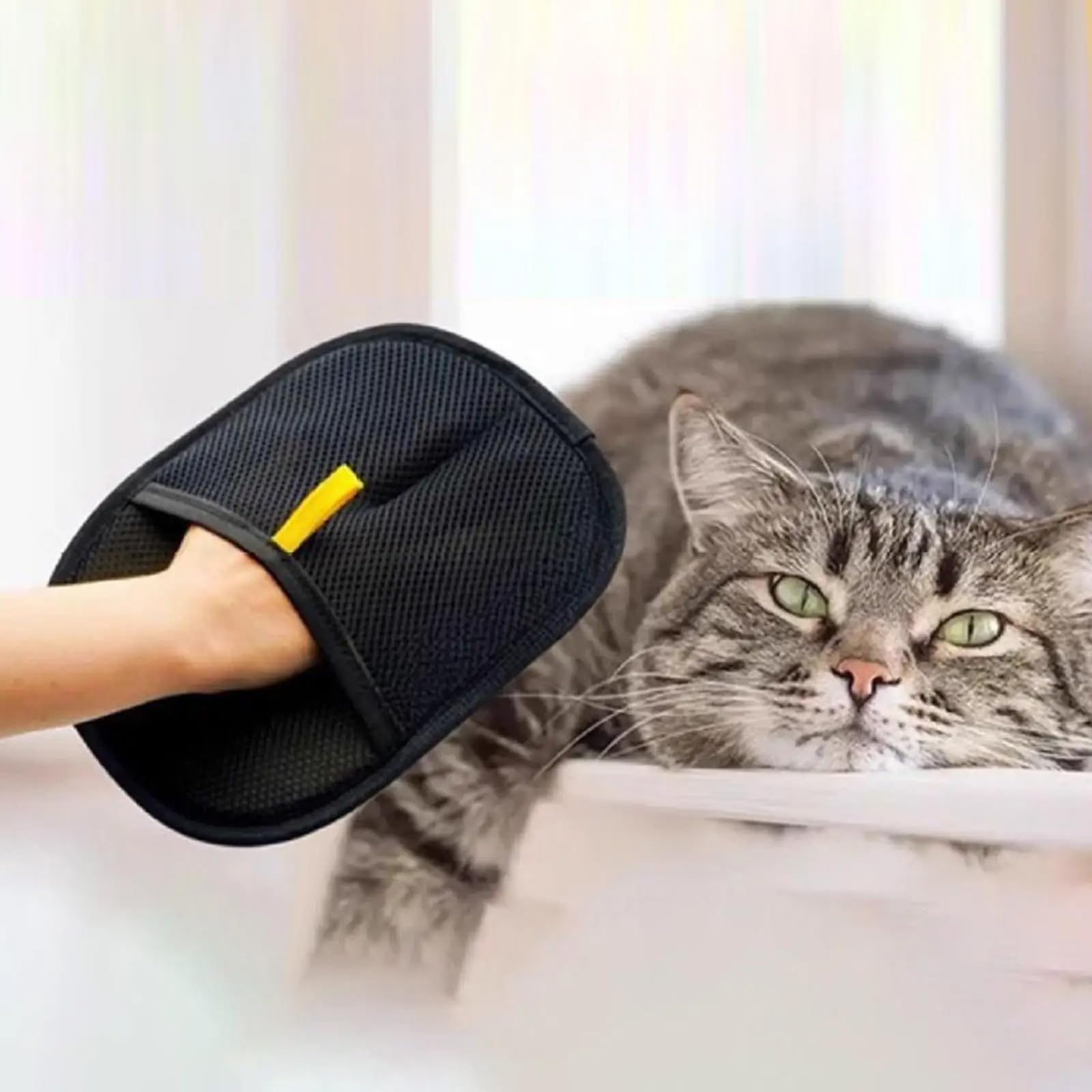 Tierhaarentfernungshandschuhe, elektrostatischer Katzenhaarentferner-Handschuh für Hund und Katze, wiederverwendbarer Fellpflege- und Reinigungshandschuh für Möbel, Autositze, Couch, Kleidung