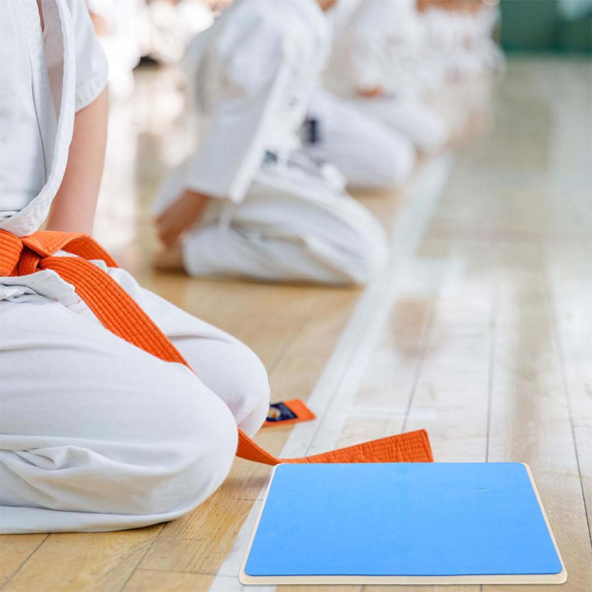 Veemoon Taekwondo Kick Board and Karate Breaking Board Rebreakable Blue Martial Arts Training Pad and Adults Practice Sparring Equipment