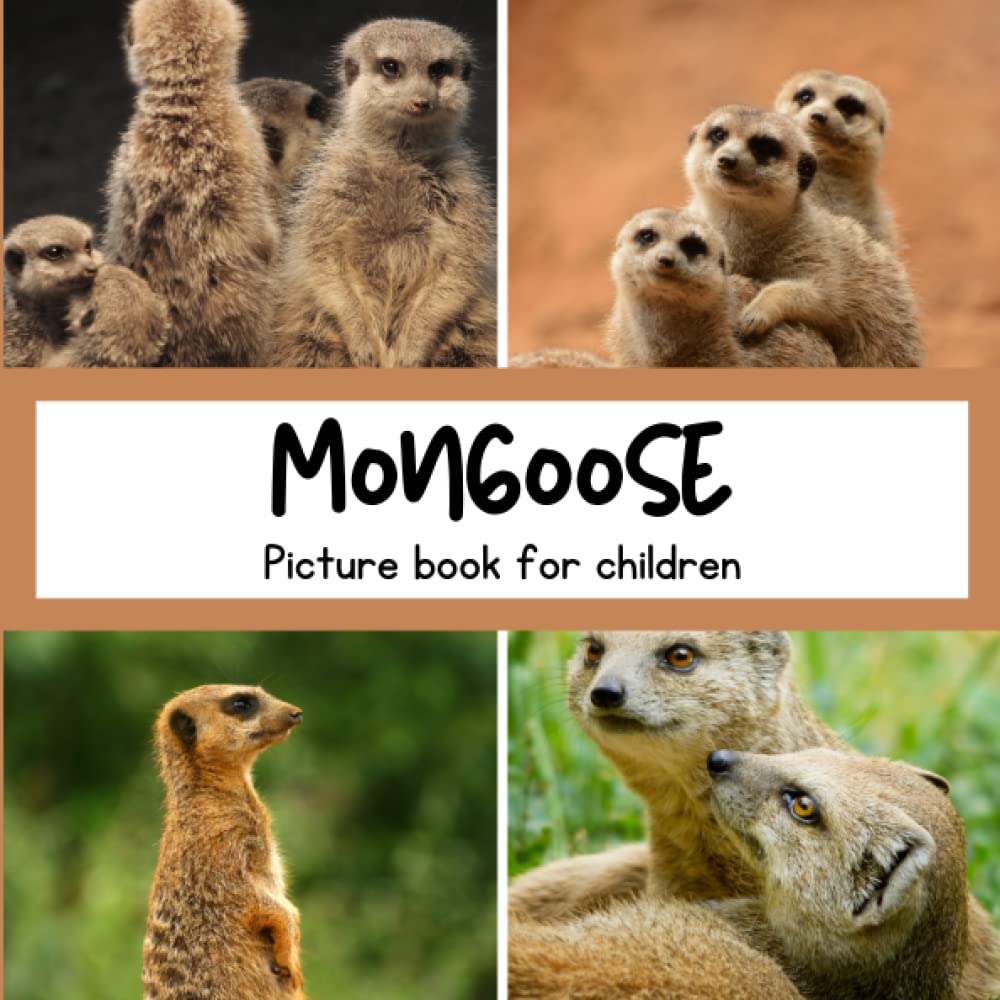 Picture book for children -Mongoose: Discovering Mongooses in pictures - Children 2 to 5 years old