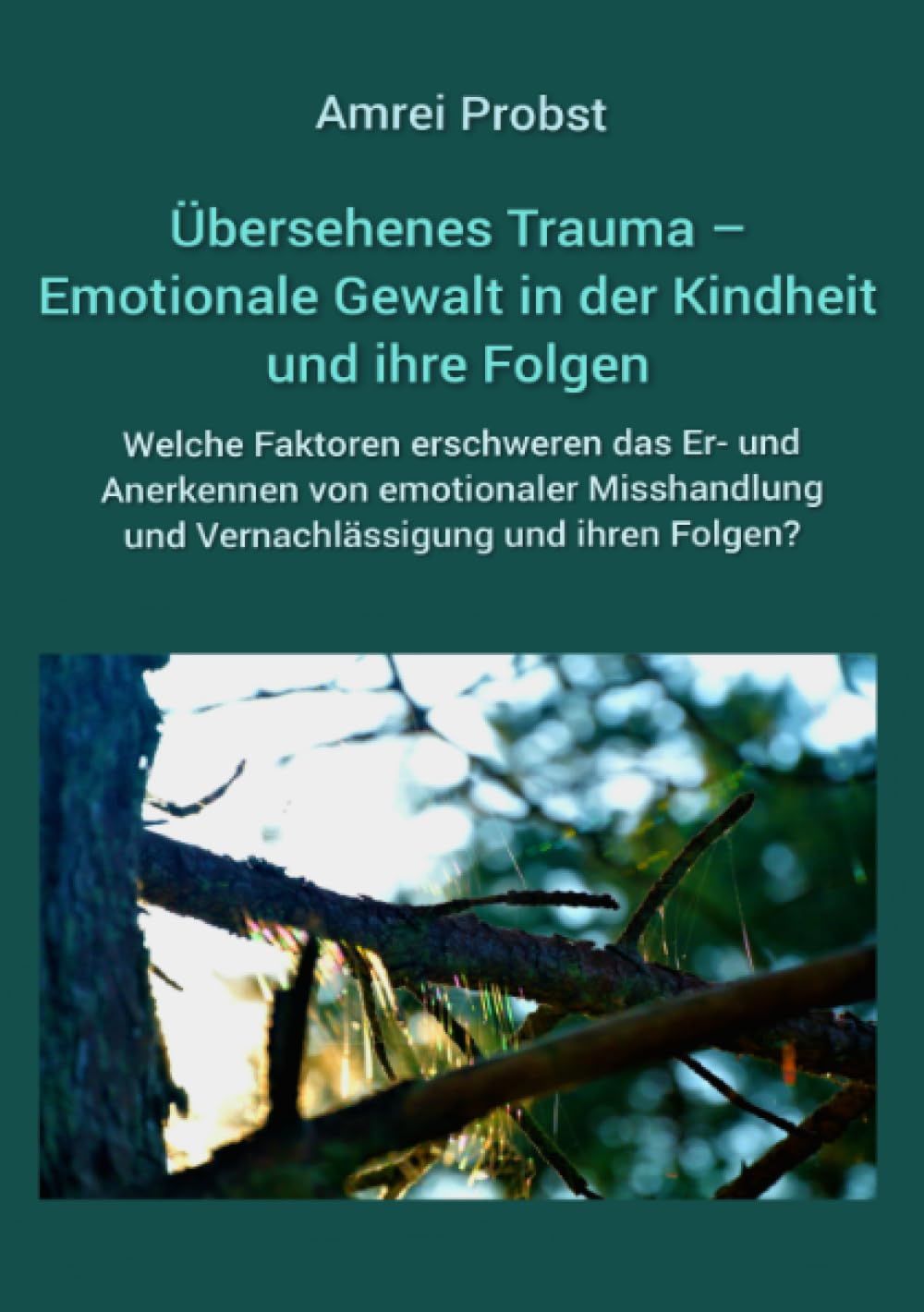 Übersehenes Trauma – Emotionale Gewalt in der Kindheit und ihre Folgen: Welche Faktoren erschweren das Er- und Anerkennen von emotionaler Misshandlung und Vernachlässigung und ihren Folgen?