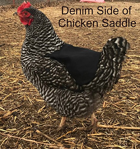 Twisted 2 Perfection Reversible Standard Size Chicken Saddles Hen Aprons (Blue & Purple Set of 2)
