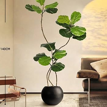 61e31QGhFhL._AC_UF350,