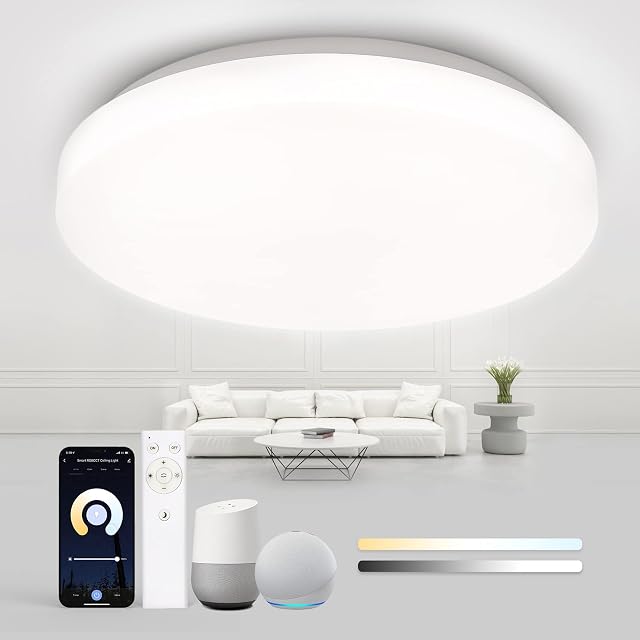TASMOR Smart LED Ceiling Light 24W, 2700-6500K Dimmable Light, WiFi, Remote/APP/Voice Control, Ø40CM 2400Lm IP54 Waterproof Compatible with Alexa/Google Home for Bedroom, Living Room, No Hub Required