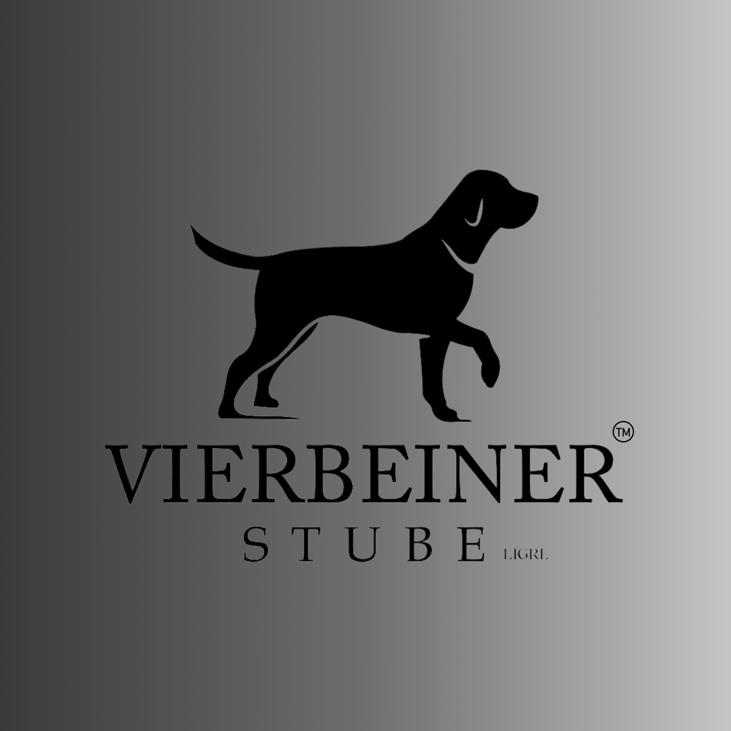 VierbeinerStube® Autoschondecke Hund Rückbank, Hundedecke mit Seitenschutz | Wasserdicht, Robust, Rutschfest, Waschbar, Schutzdecke Rücksitz – Universalgröße für Auto, SUV & Kombi