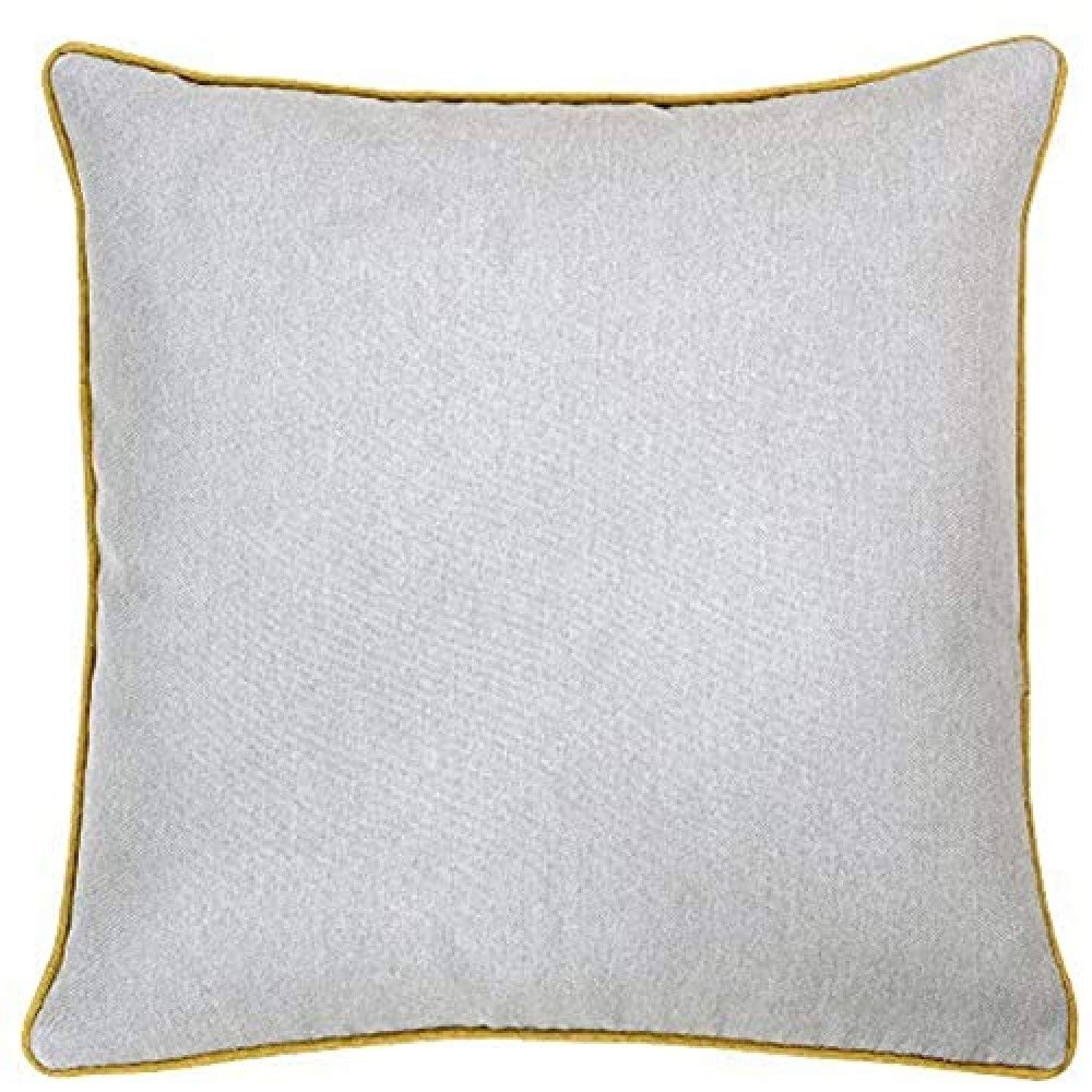 Coussin Plumes Gris Clair pour décorer votre canapé de salon moderne