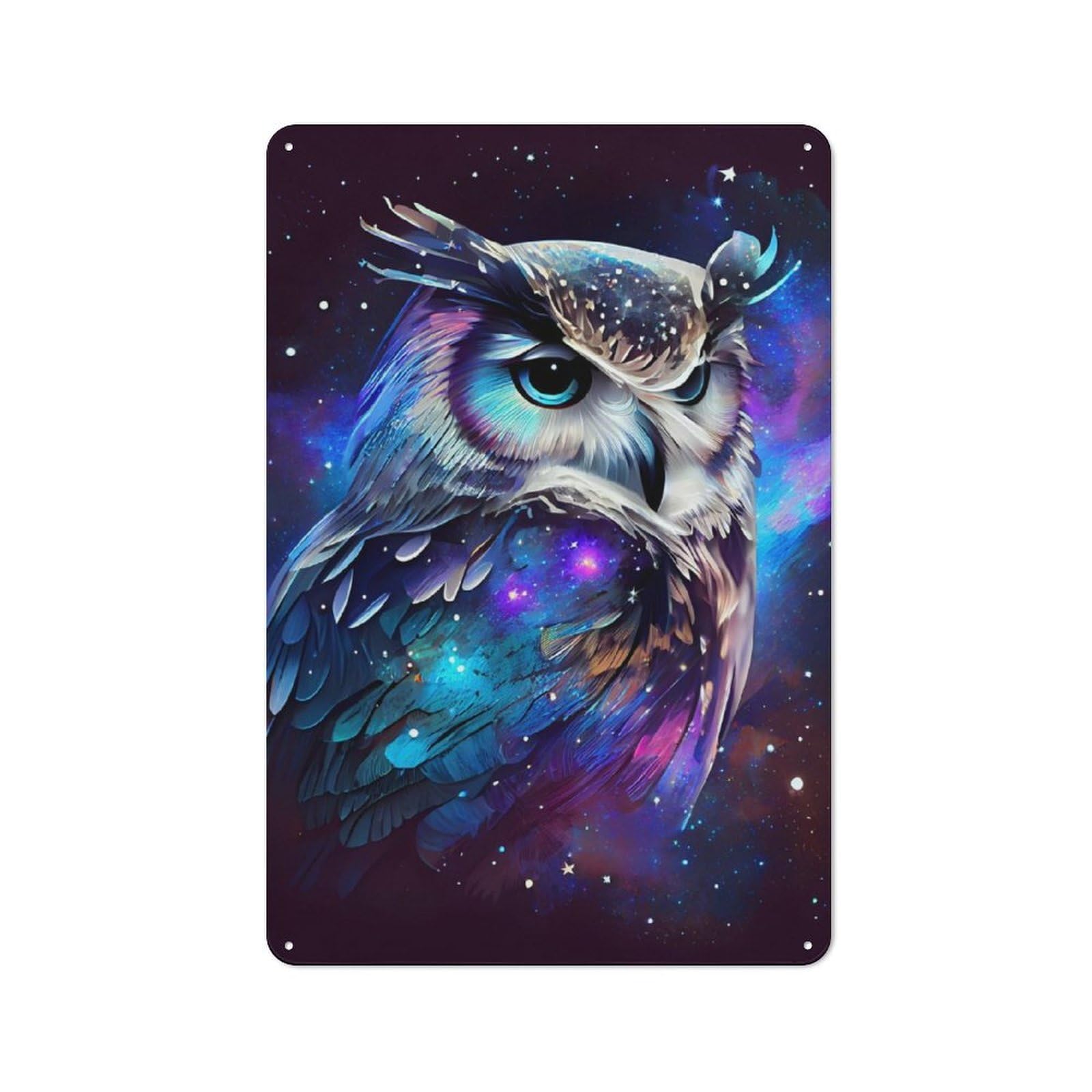 Junmoney Owl With Galaxy Theme Garden Style Tin Sign 30X20cm Featuring Shed Wall Decor For Patio Bar, Workshop, Shed Or Kitchen