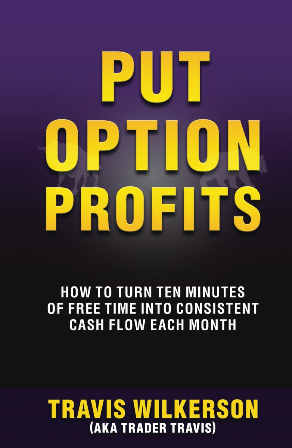 Put Option Profits: How to Turn Ten Minutes of Free Time into Consistent Cash Flow Each Month (Passive Stock Options Trading)