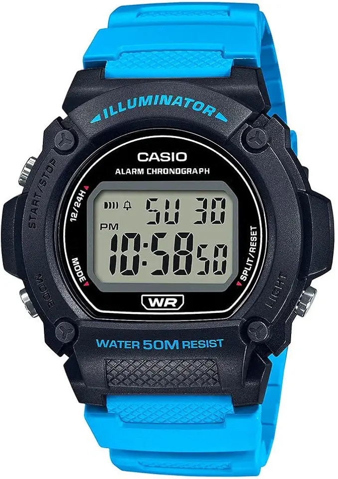Relógio Casio Masculino Standard W-219h-2a2vdf