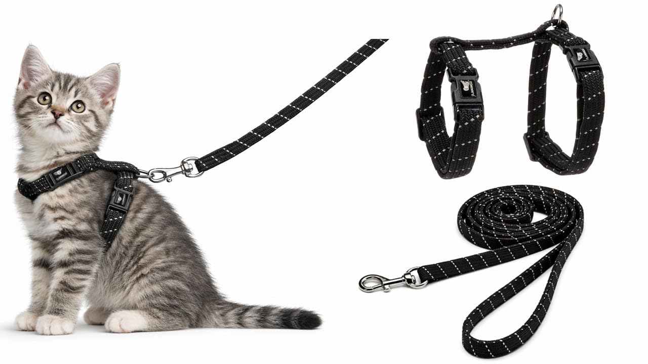 cat harness - kitten Elza black - 15-22cm - 20-30cm - leash 120cm - adjustable nylon - reflective - with carabiner