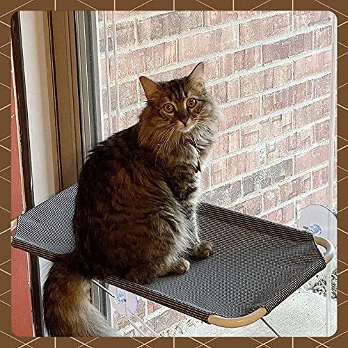 LSAIFATER All Around 360° Sunbath and Lower Support Safety Iron Cat Window Perch, Cat Hammock Window Seat for Any Cats (L, Grey)