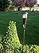Newhouse Lighting TIKLED4-B Solar-Powered Flickering Flame Outdoor Island Torches, 4-Pack, Black
