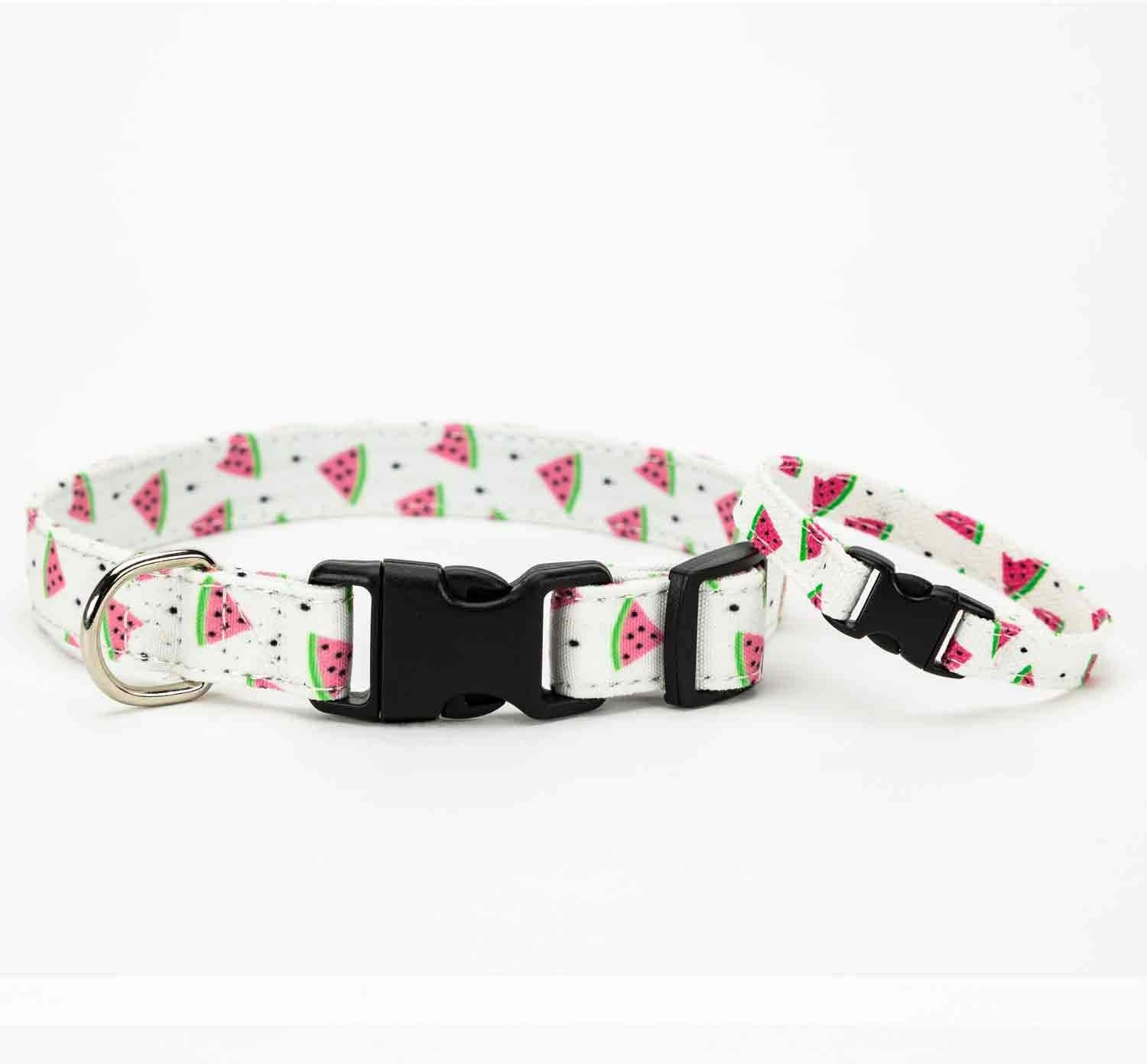 Buddy dog collar amazon Clearance