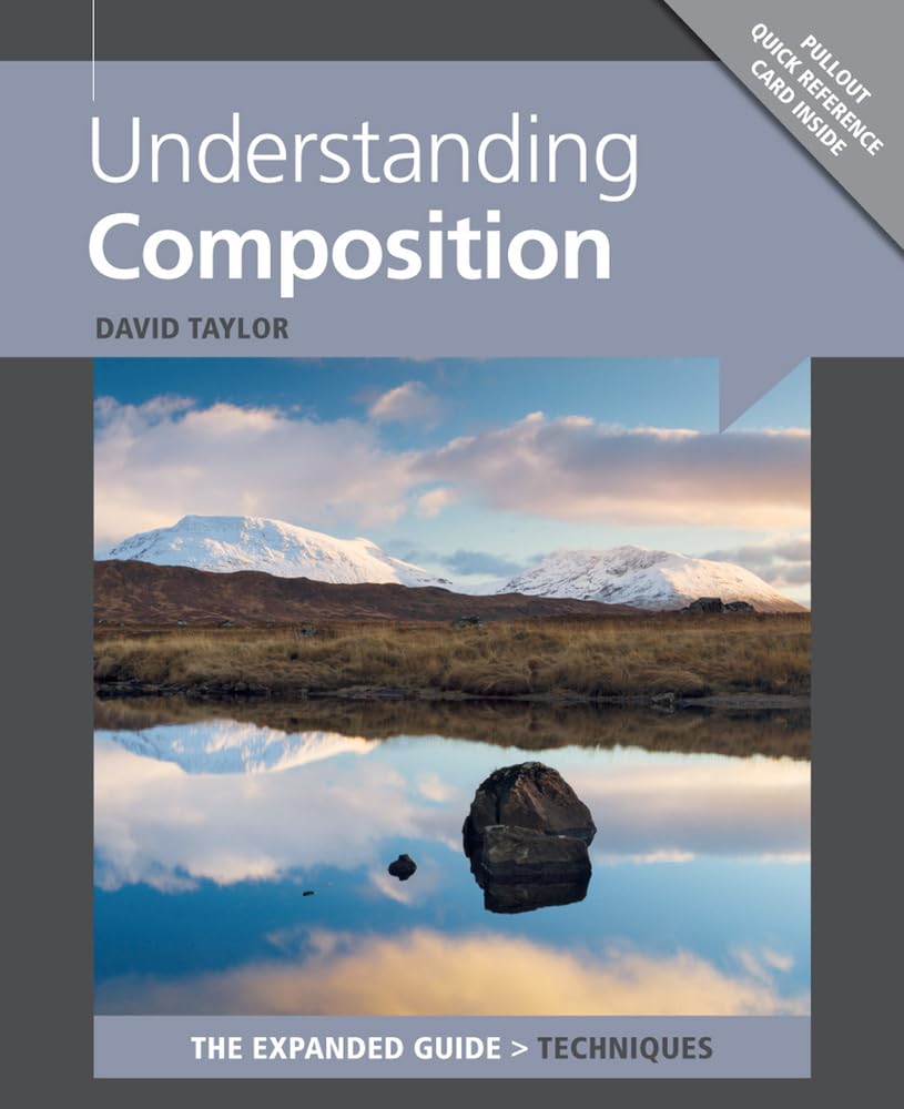 Understanding Composition Taylor Paperback GMC – Ammonite 9781781450512