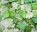 100 pcs Patch Green Leaves 37x23 mm Mulberry Paper scrapbooking wedding doll house supplies card