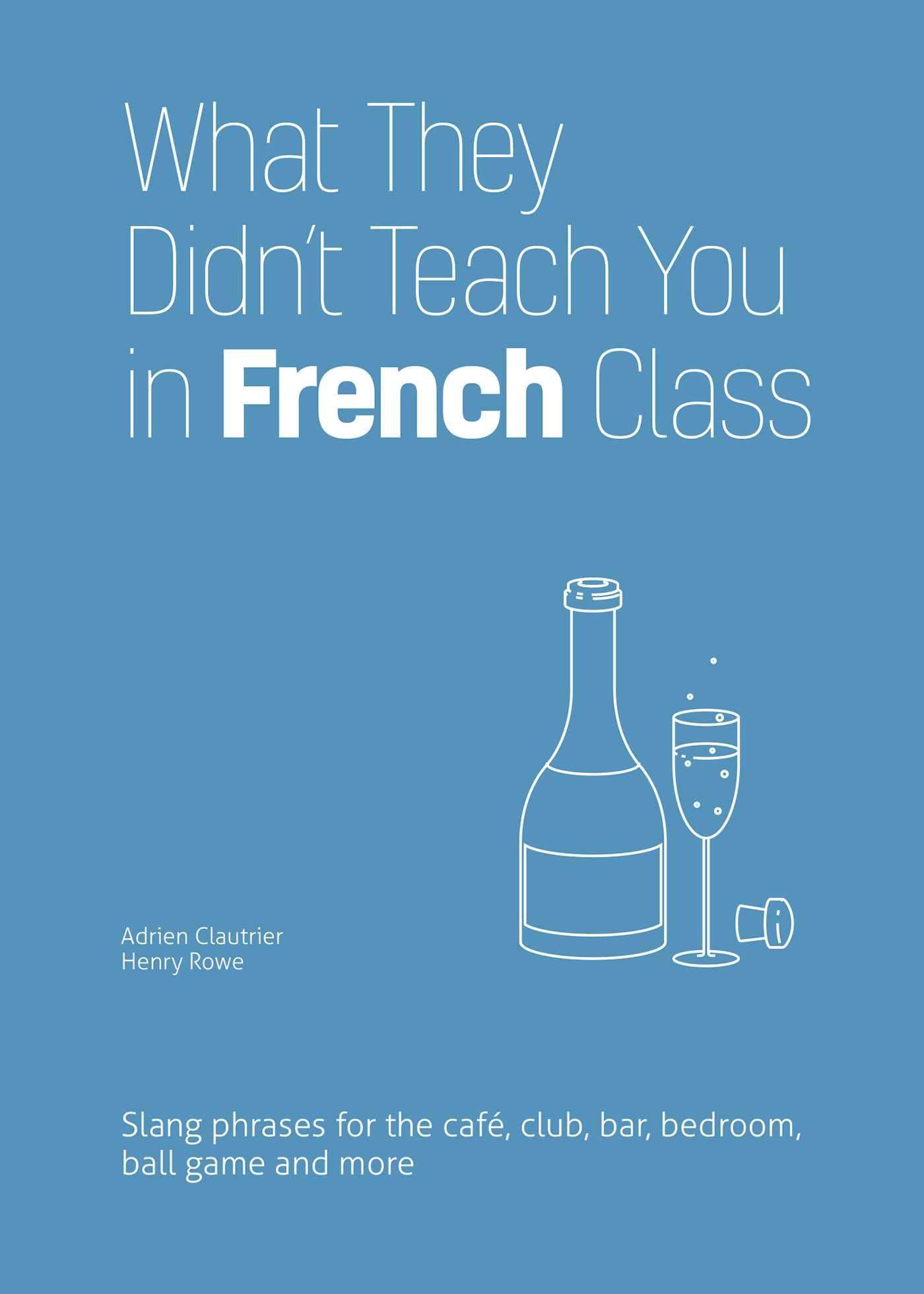 What They Didn't Teach You in French Class by Adrien Clautrier - 9781646043934