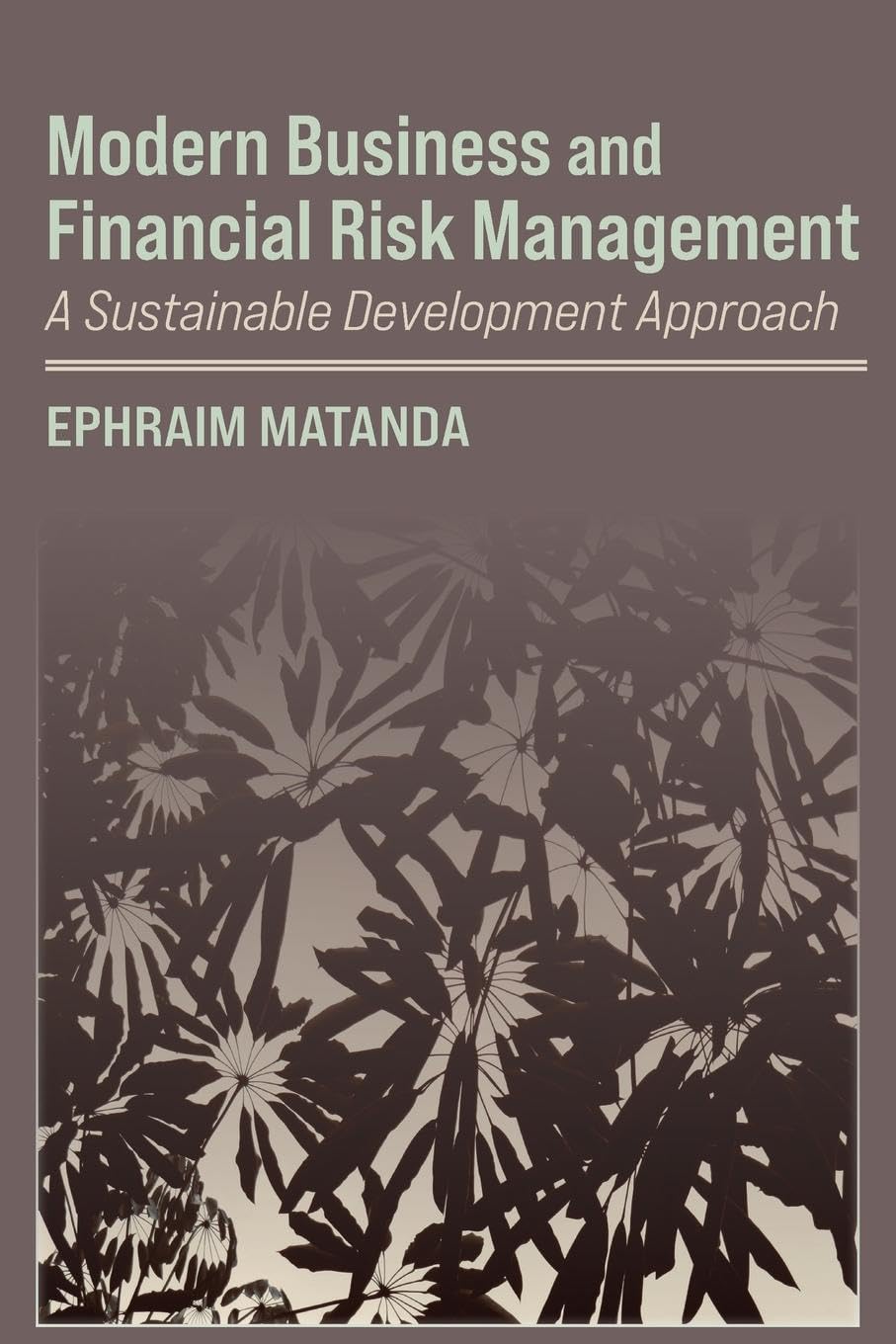 Modern Business and Financial Risk Management: A Sustainable Development Approach
