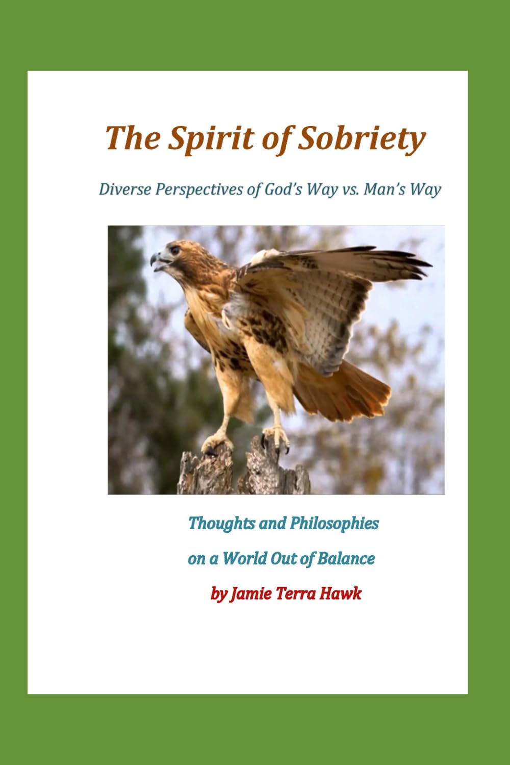 The Spirit of Sobriety: Thoughts and Philosophies on a World Out of Balance