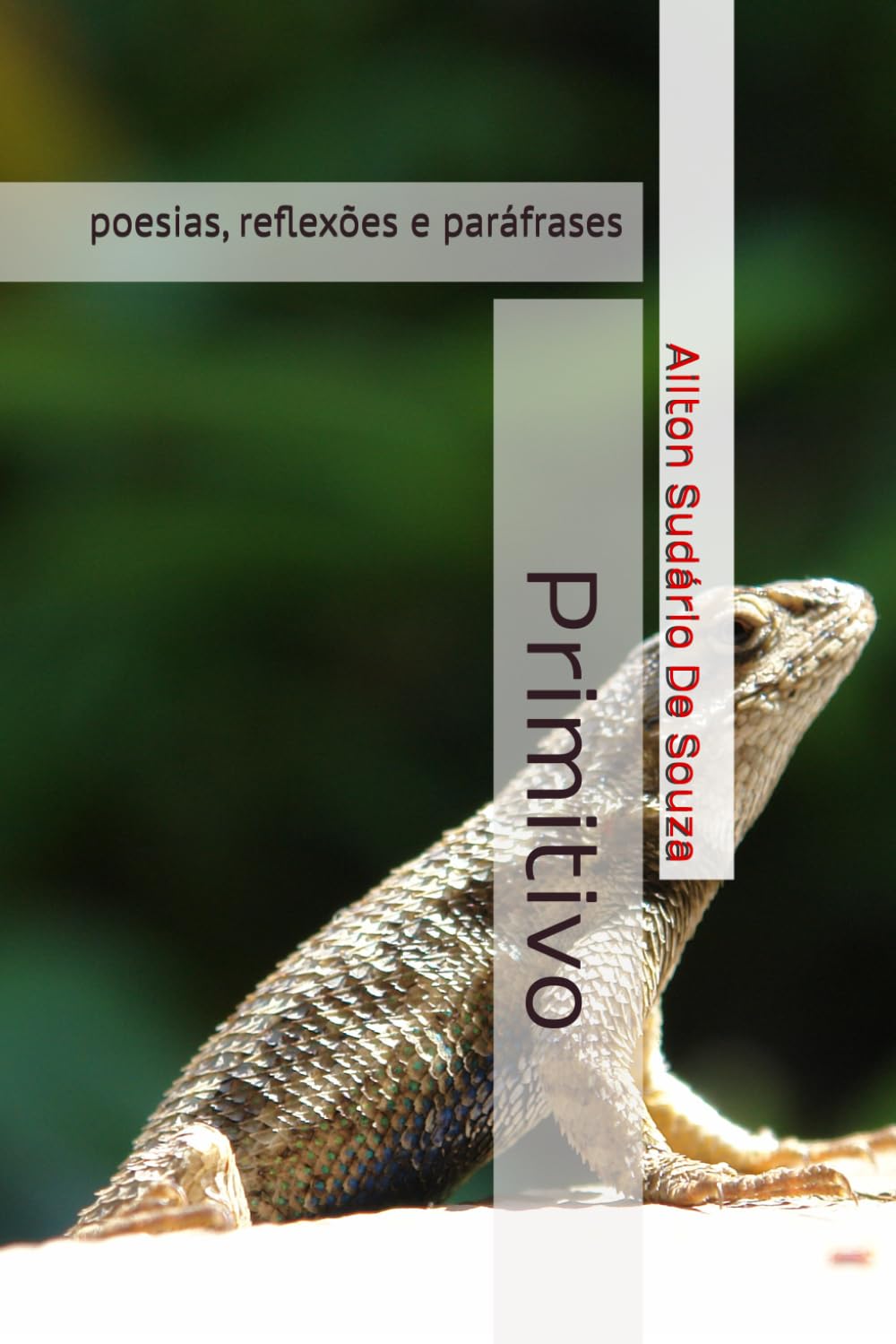 Primitivo: poesias, reflexões e paráfrases
