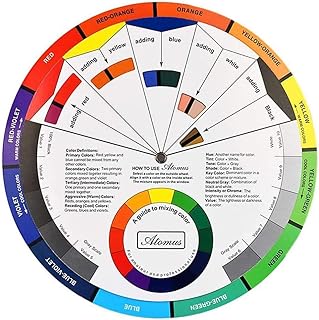 Namvo Ruota dei Colori, Guida di apprendimento per la miscelazione di Vernici Strumento didattico per lezioni di Arte per Trucco Tavolo da miscelazione Guida a Colori Guida Mista 5,5 Pollici / 14 cm