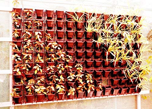 Image of Bio Blooms Agro India Pvt.Ltd. M2 Model Vertical Wall Hanging Garden Pots| 8 Panel & 24 Pots | Brown Color | Outdoor Use & Indoor Use