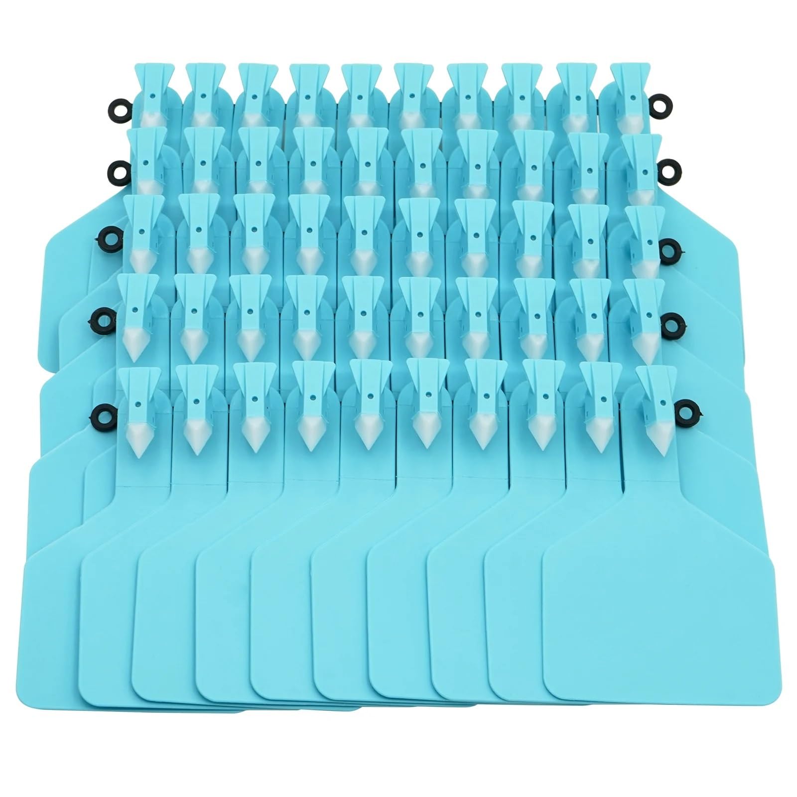 50 set bestiame orecchie di mucca grandi etichette segni con parole animali strumenti di identificazione tag pinze Pet mucca maiale capra pecora marcatore fattoria (blu)