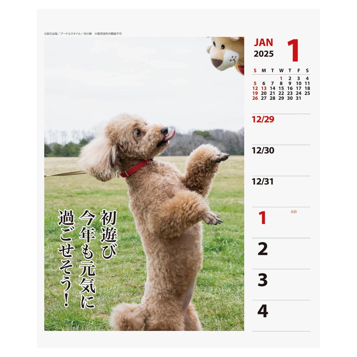 Amazon.co.jp: 2025年 プードル川柳(週めくり) カレンダー No.028