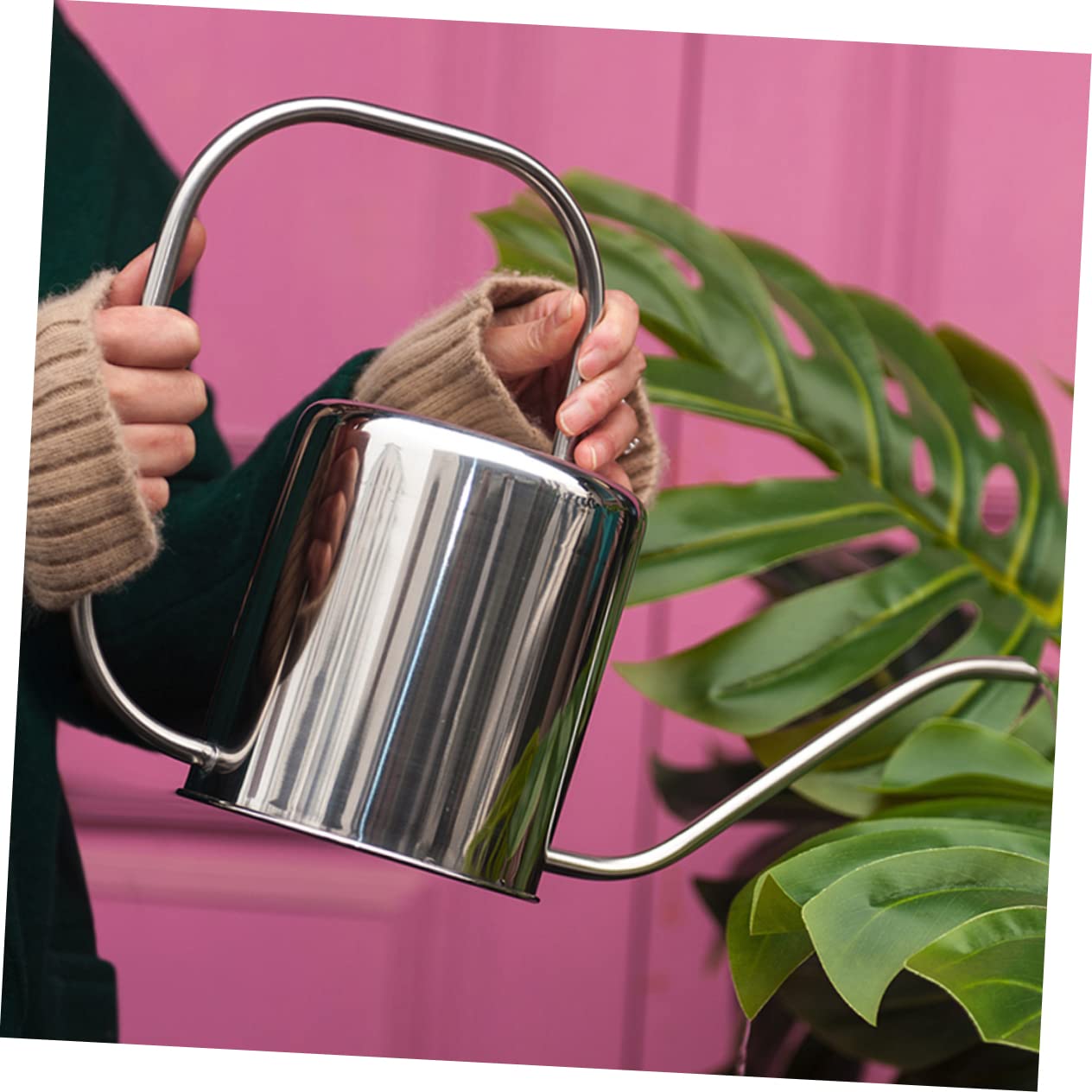 Regadera de Acero Inoxidable 1, 3 L para Suculentas y Flores de Interior