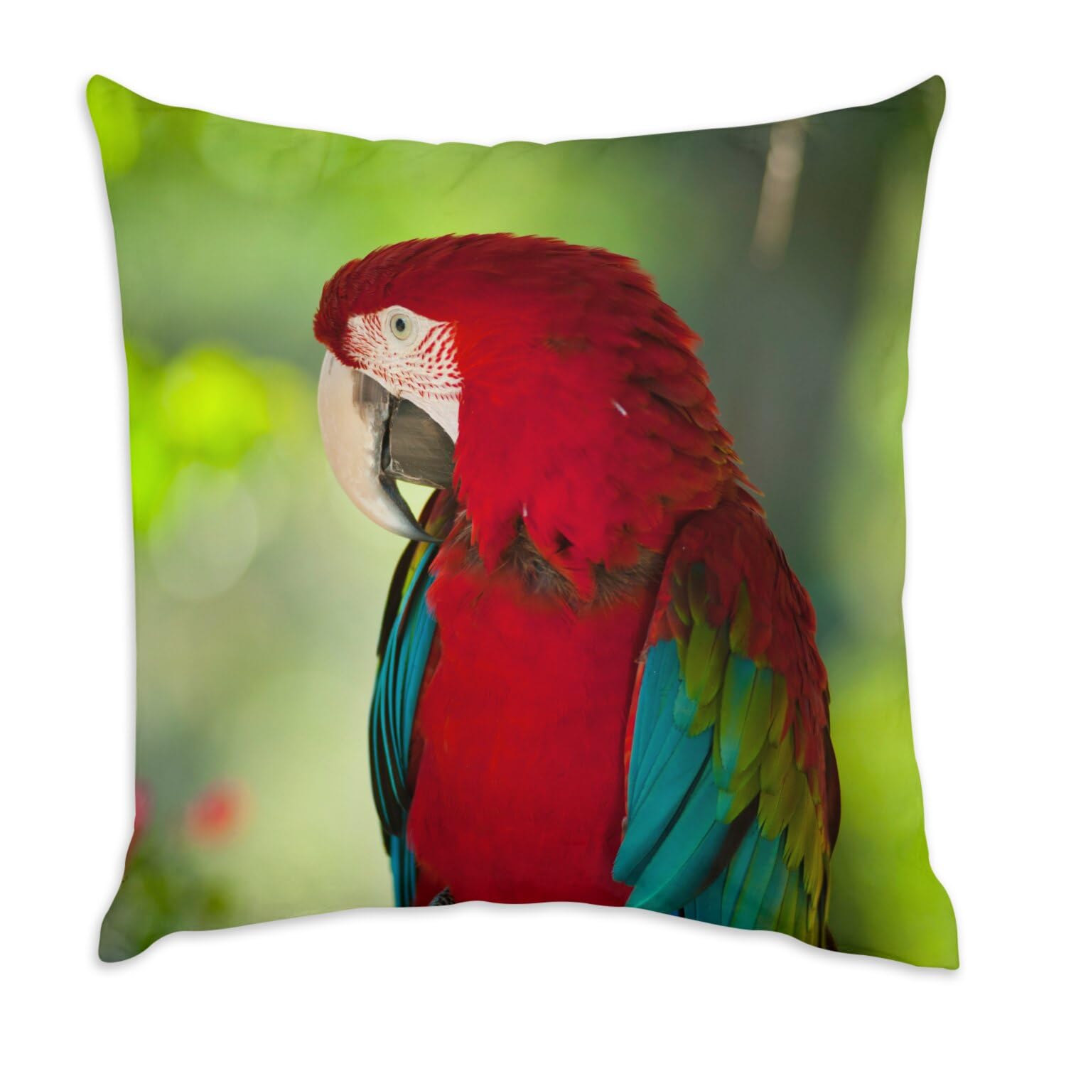 Coussin en velours blanc Ara Macao rouge 40x40 cm décoration salon