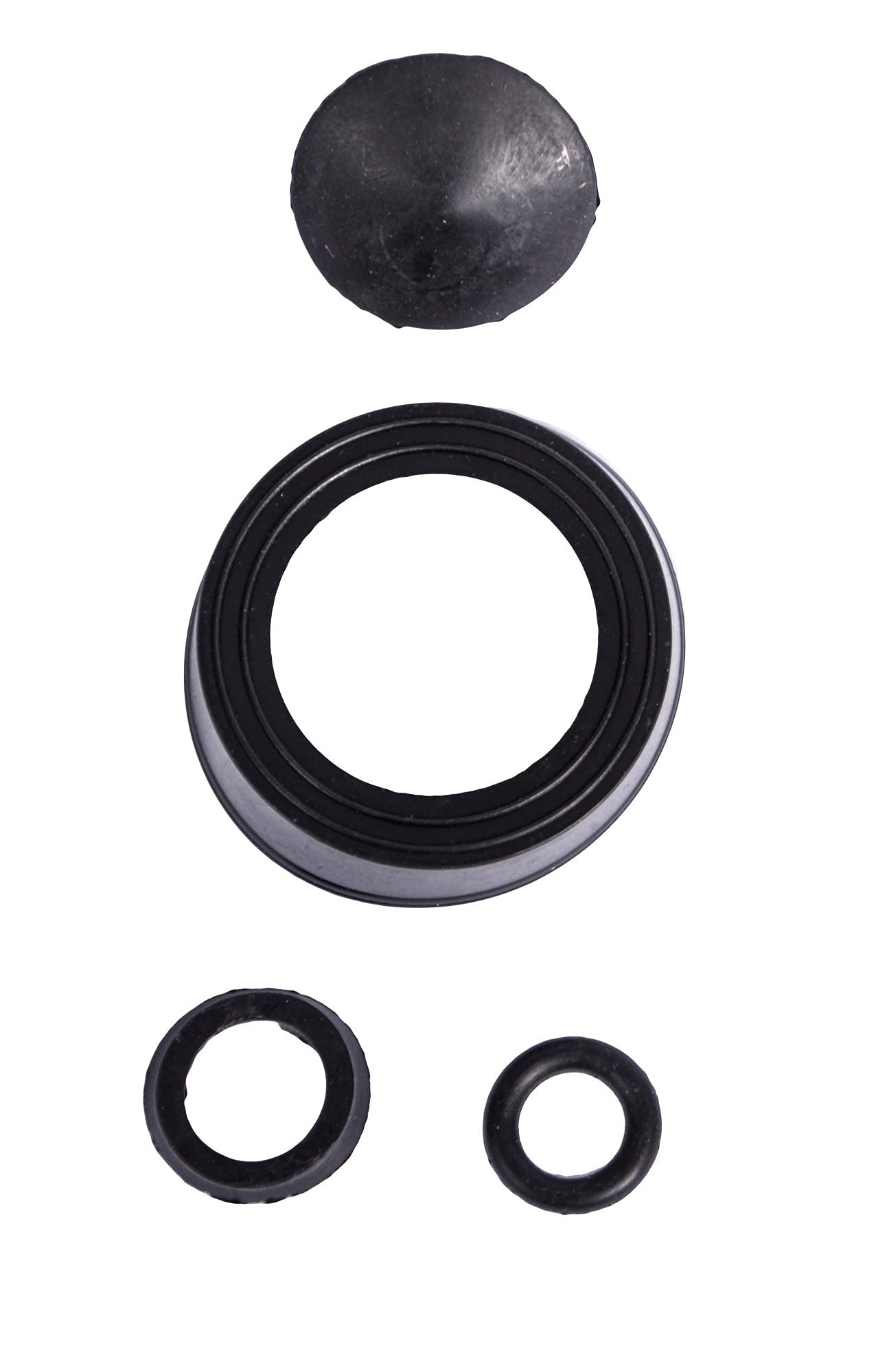 Pro-Kleen Pulverizador de bomba de presión de jardín de acción manual, 8 L, con lanza de latón y 2 kits de sellado de repuesto, para mataméricas, insecticidas, fungicidas (8 L)