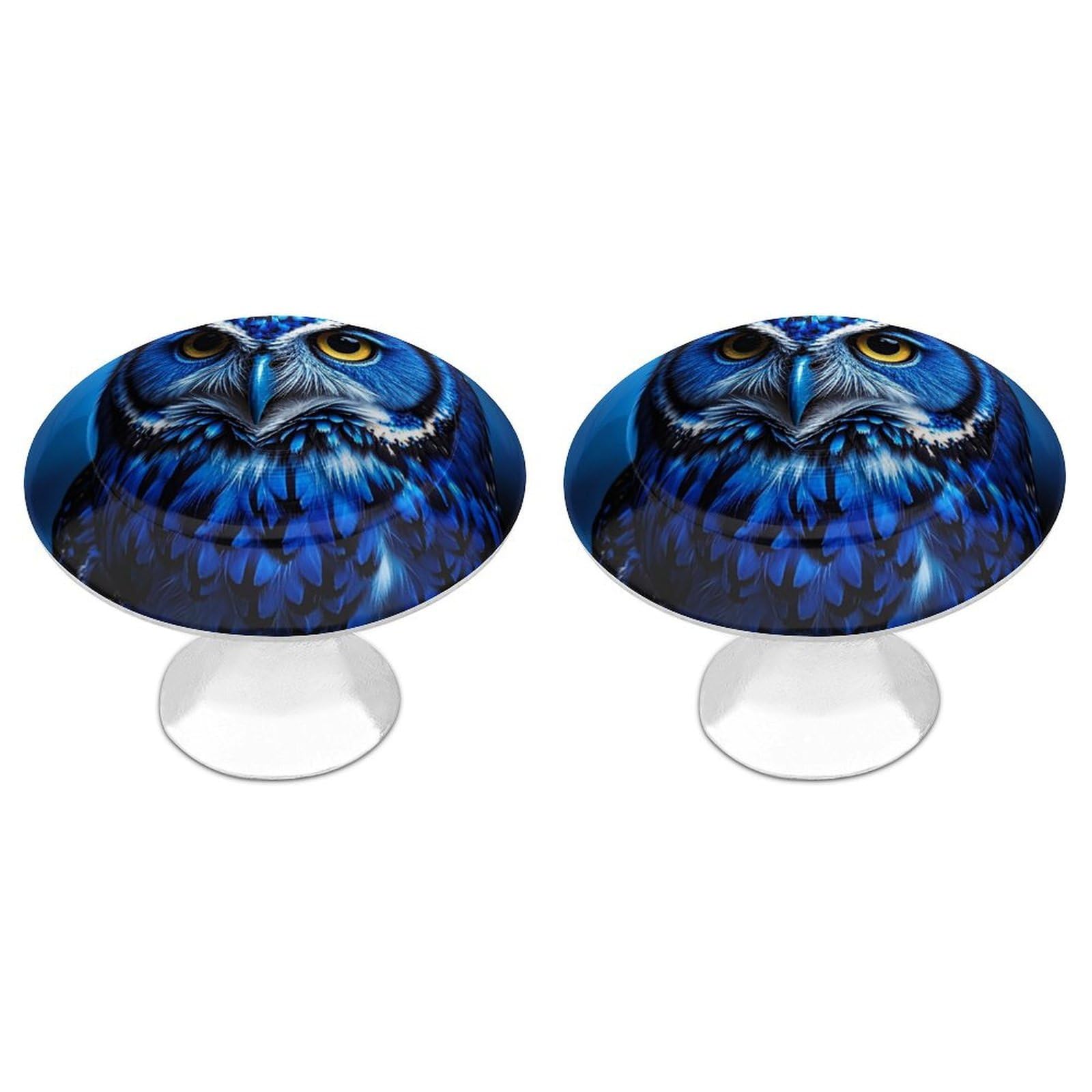 FekiLoot Blue Owl Cabinet Knob 2 Pack Mini Round Drawer Pulls Stainless Steel Dresser Drawer Knobs Kitchen Drawer Hardware for Bathroom Dresser Closet Door Knobs