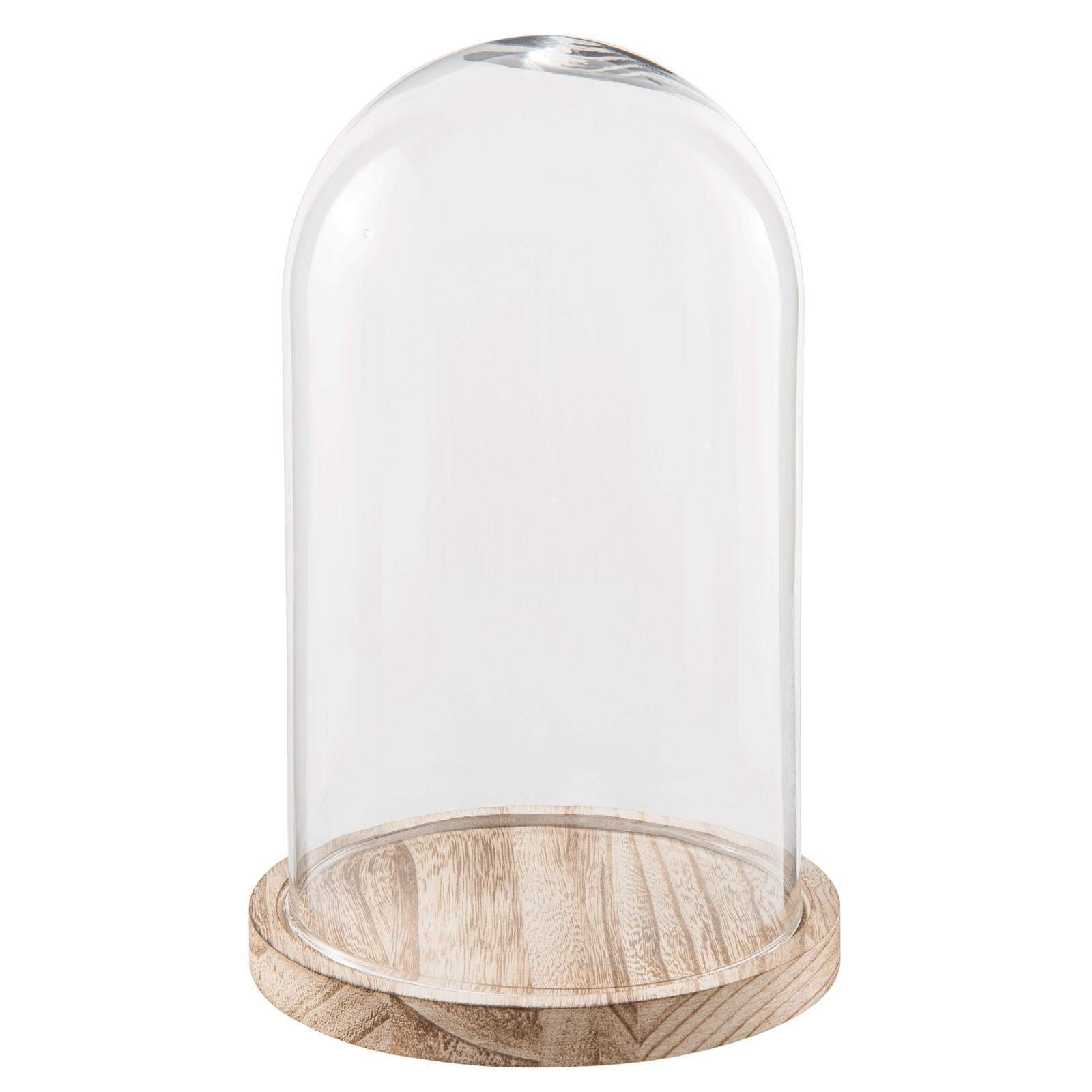 Small Glass Display Bell Jar Cloche on Wooden Base Display Stand 28 cm