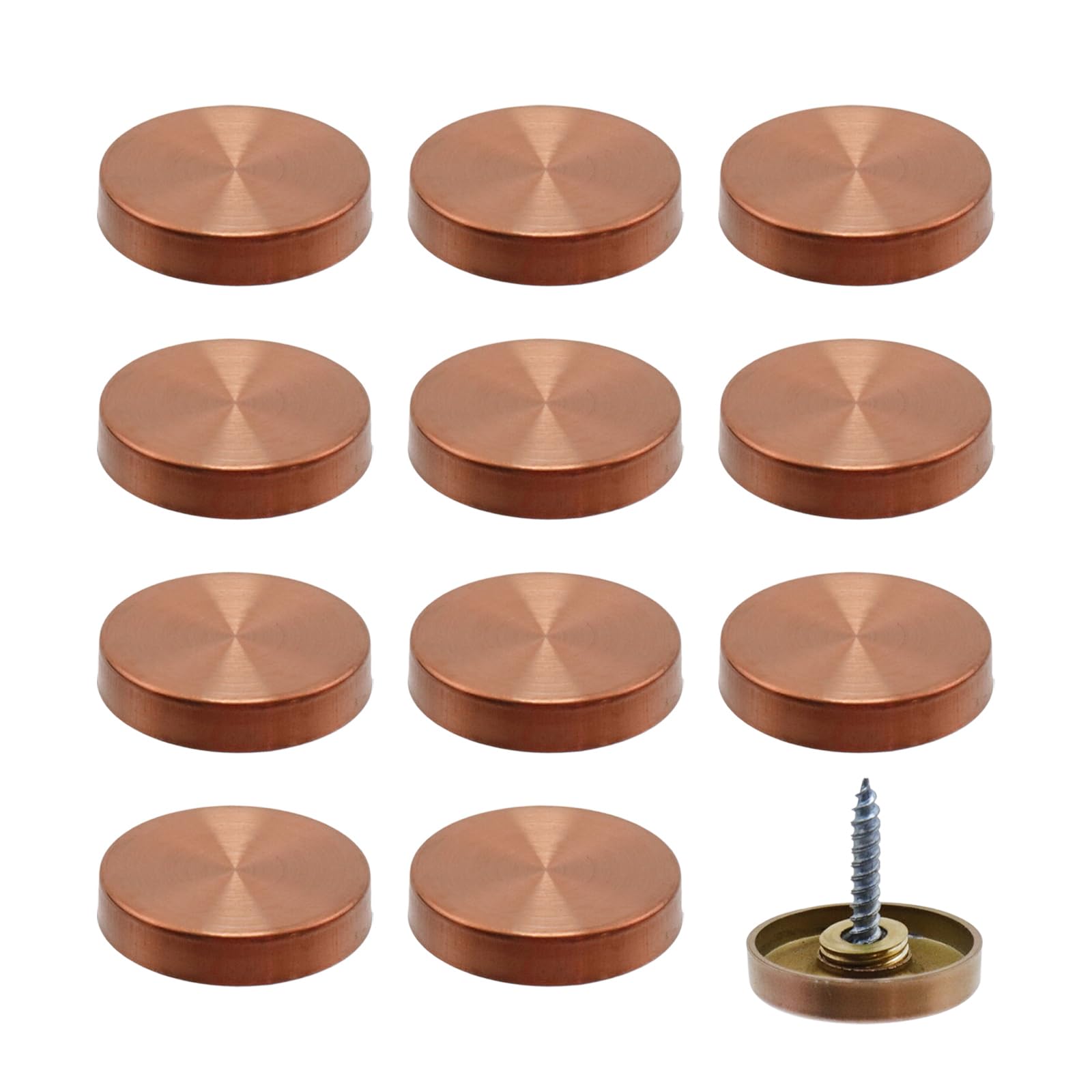 Gold Mirror Screws - Conceal Exposed Hardware -13