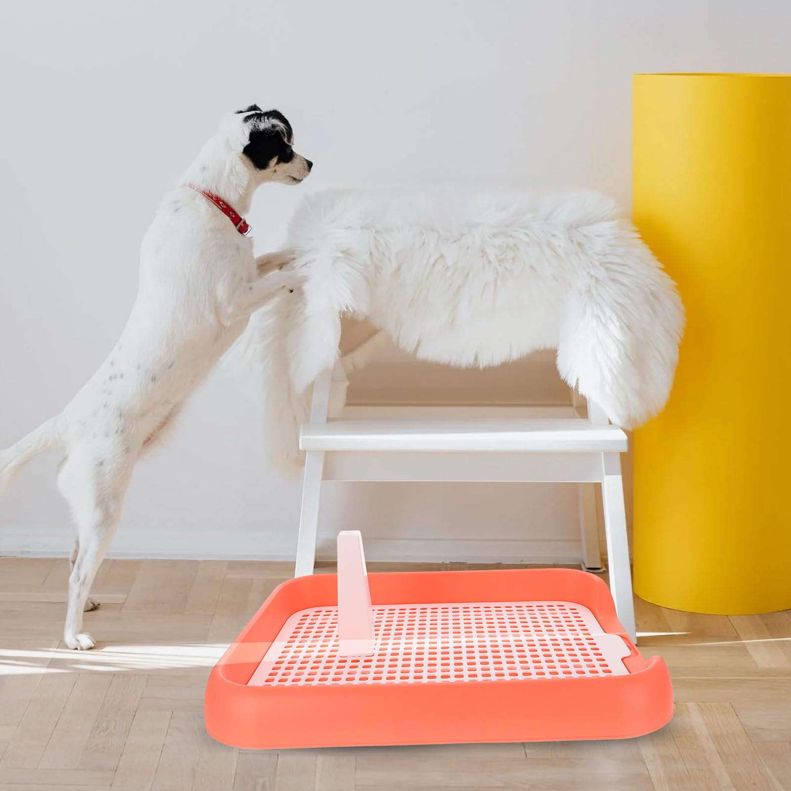 Toilette per Cani da Interno per Cuccioli Design Antiscivolo Bordi Rialzati e Maniglia per Spostamento Comodo Vasino per Addestramento Igienico Animali Domestici