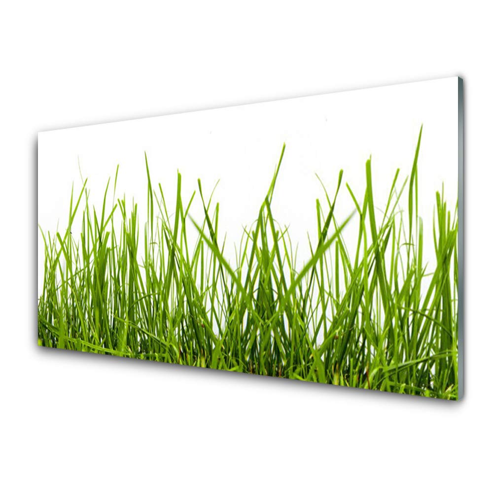 Tableau Mural Moderne en Verre Trempé 100x50 Tulup Herbe Nature Durable