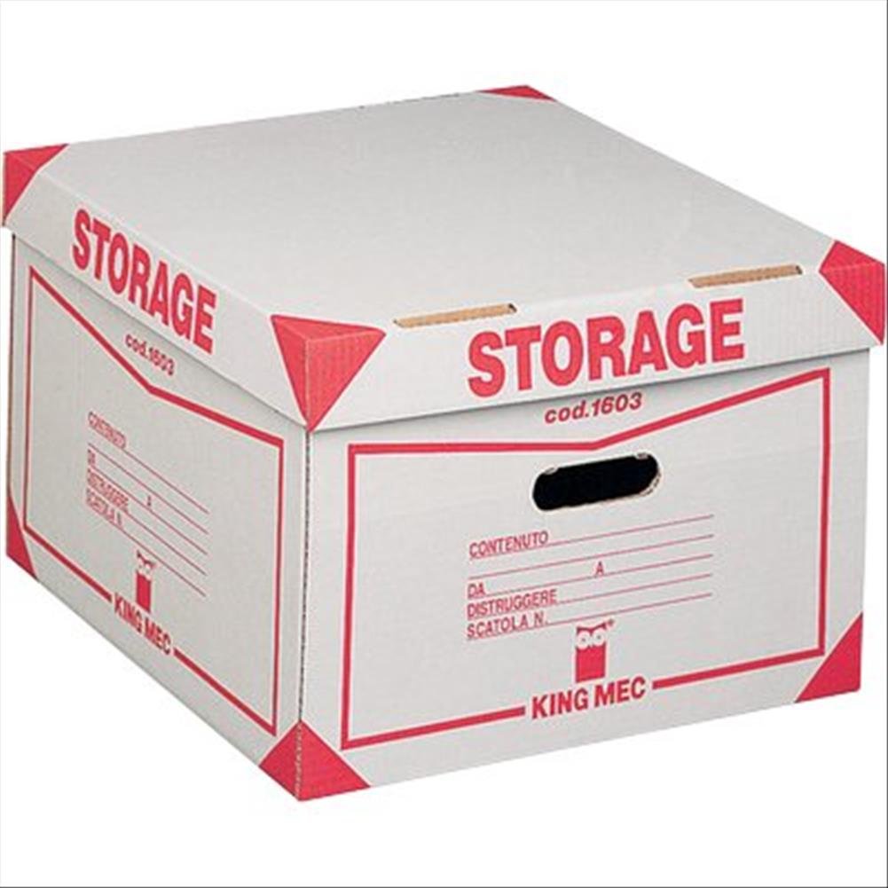 Rexel Contenitore Storage con Coperchio (1603) 385x264x397mm