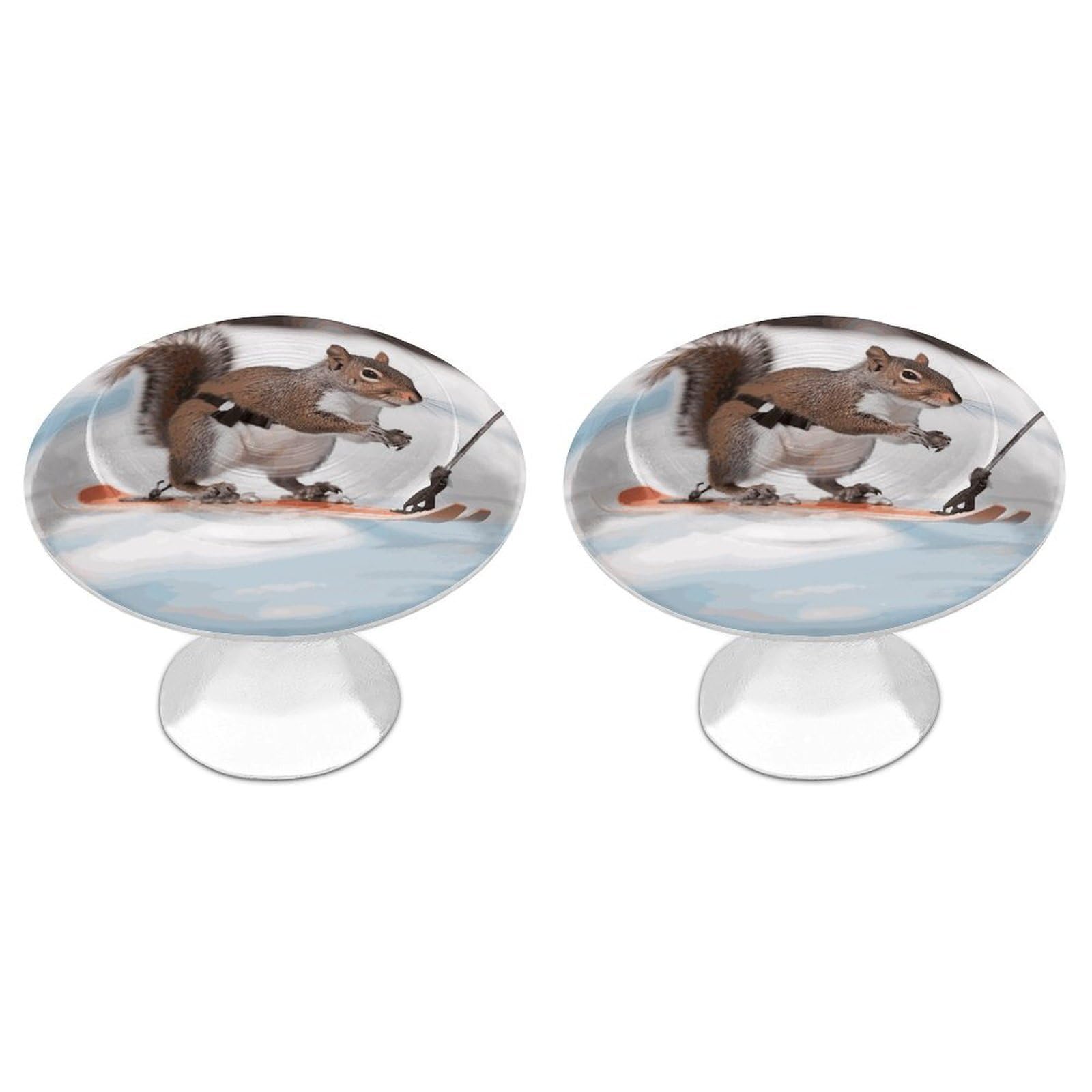 FekiLoot Skiing Squirrel Cabinet Knobs Personality Stainless Steel Round Drawer Handles Circle Modern Cabinet Handles Drawer Knobs for Kitchen Dresser Bathroom Cupboard Furniture