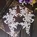 2 Pcs Raw white Flower Lace Patches for Wedding Dress DIY Clothing Flower Applique Collar Material