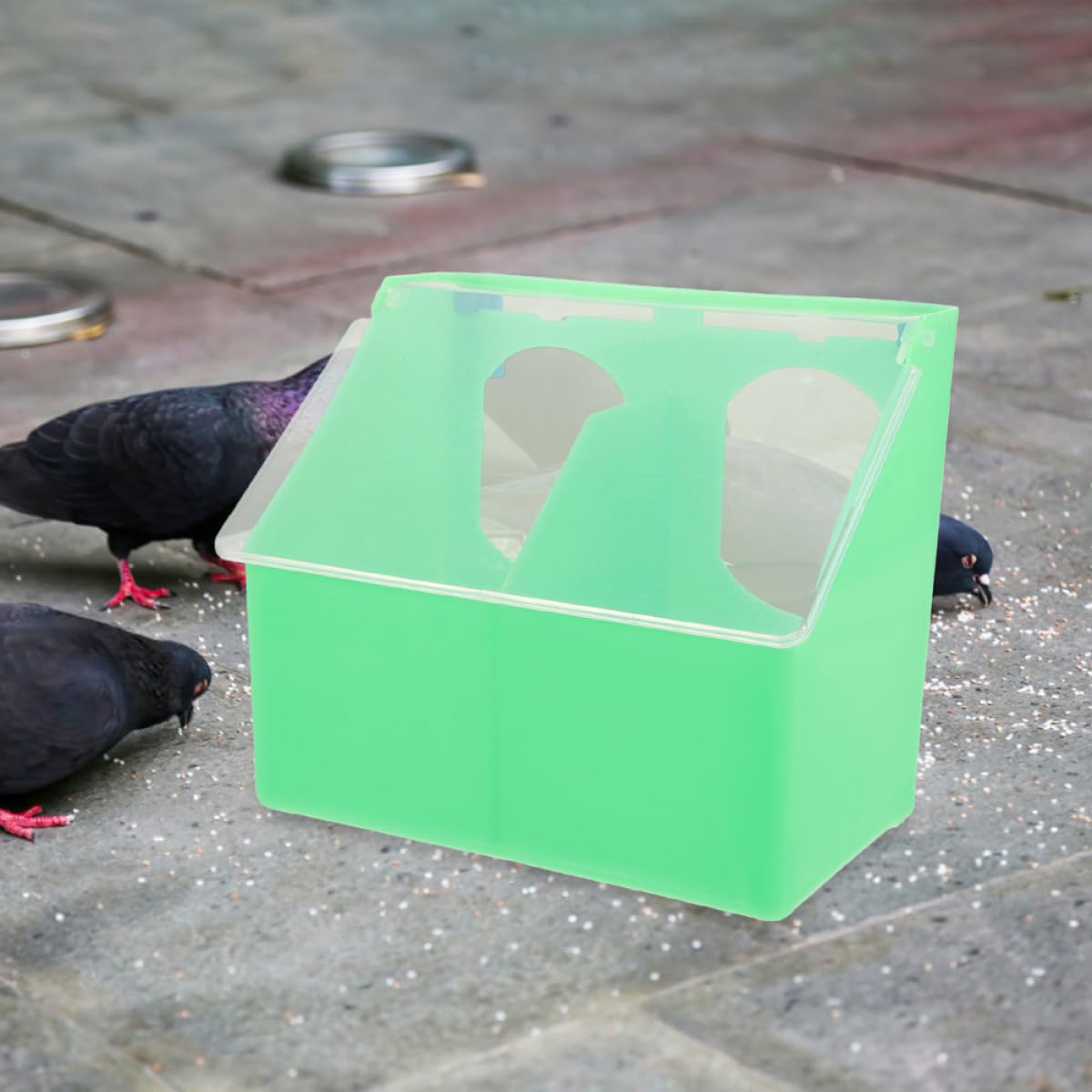 Amosfun 3 Stück Vogelfutterspender zum Aufhängen für Kleine Vögel und Papageien Kunststoff Grün Multi Fach und Spritzschutz Geeignet für Vogelkäfig