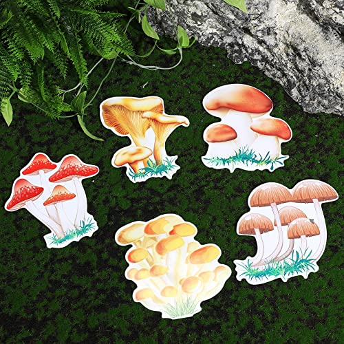 Set 12 Imanes Decorativos de Hongo para Refrigerador miniatura 6