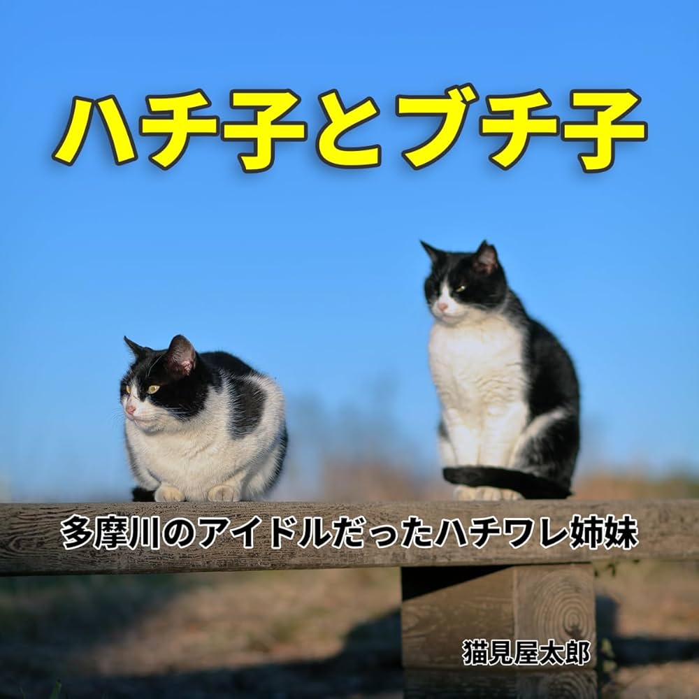 とらねこページ とらねこページ とらのこ | RIKU |本 | 通販 | Amazon