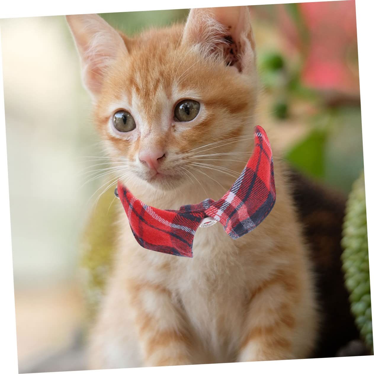 Happyyami 10pezzi Collare Per Gatti Regolabile Con Campanellino e Stile Plaid Collare Sicuro e Carino Per Feste e Occasioni Speciali Design Adatto Gatti e Cuccioli
