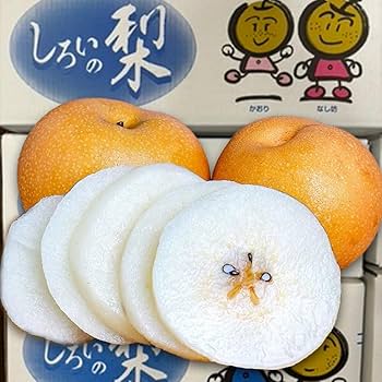 千葉手賀沼の自然を描く,日下賢二「ひとやすみ」50号油彩,ゆりかもめ,県展出品作 千葉手賀沼の自然を描く,日下賢二「ひとやすみ」50号油彩