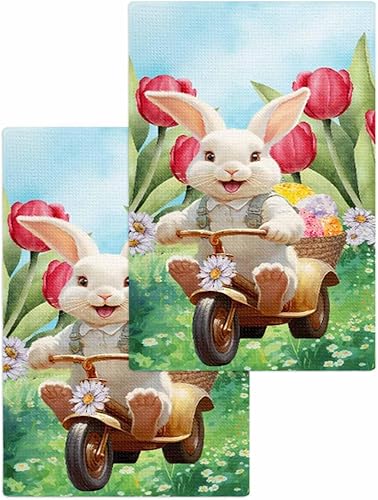 Kitchen Towel 2 Packs Cotton Waffle Weave, Bunny Bicycle Green Easter Tulip Daisy 16 x 24 Inch Absorbent Quick Drying Dish Towels Clothes for