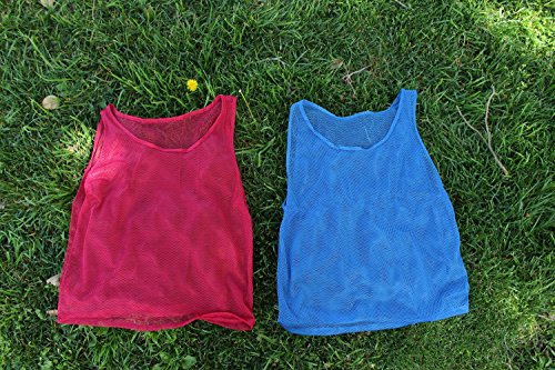 Tytroy 12 Pinnies Youth Practice Team Jerseys Mesh Scrimmage Training Vest Kids Sports Blue And Red #TOP3