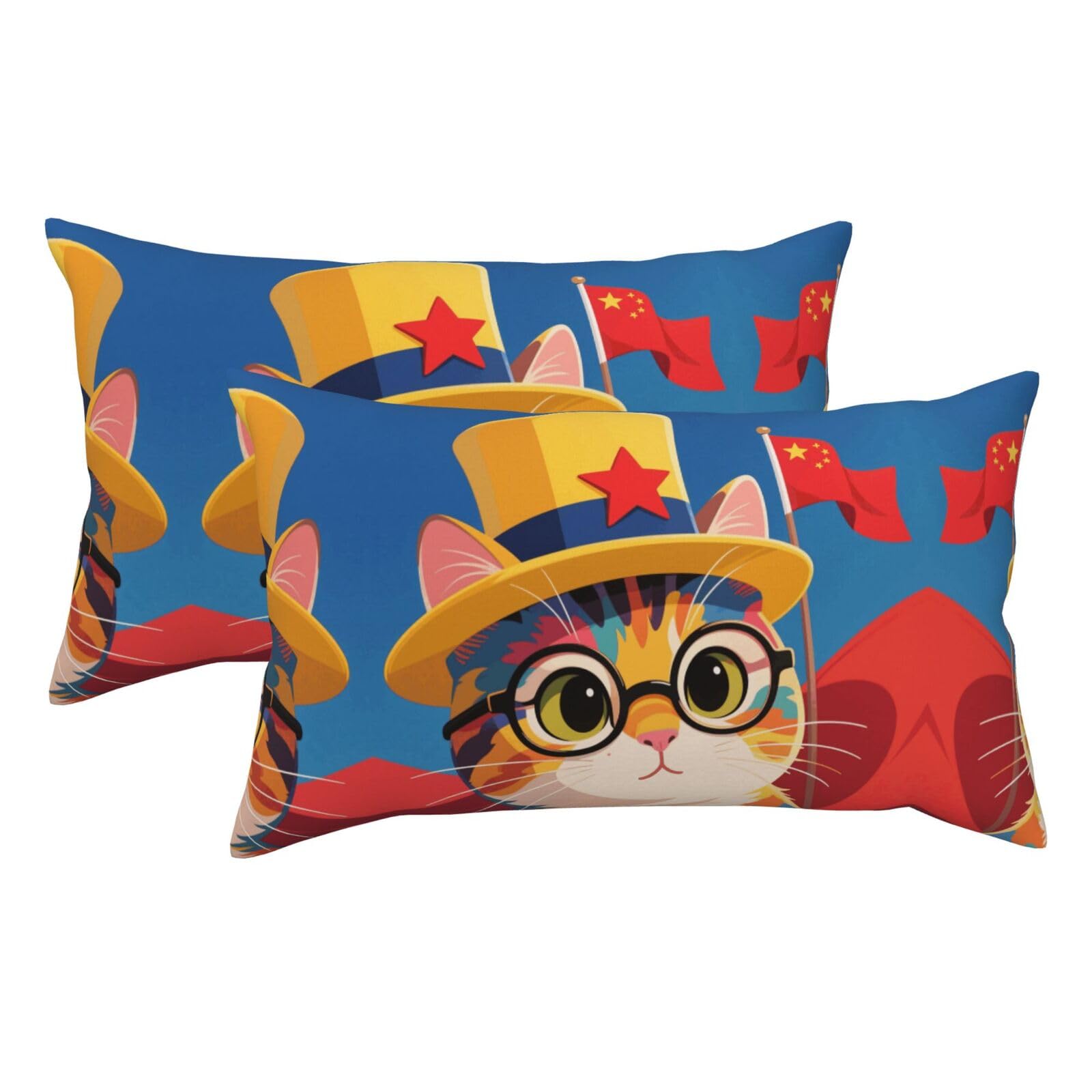 Cat and Glasses Flag Luxury King Pillowcases Set of 2, Plush Velvet Feel Pillow Covers with Hidden Zipper, Skin & Hair Friendly, 20x36 Inches Pillow Cases for Sleeping Gift